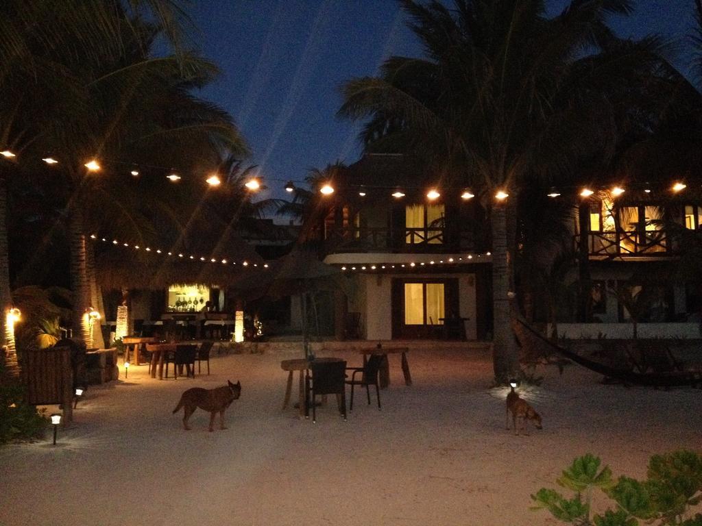 Casa Iguana Holbox - Beachfront Hotel Ngoại thất bức ảnh